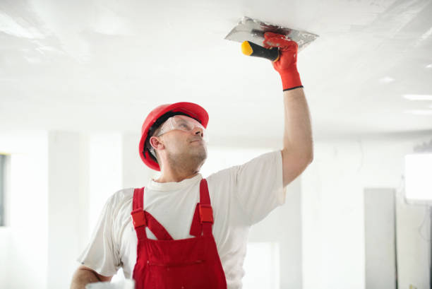 Eco-Friendly and Low-VOC Painting in Santa Rosa Valley, CA